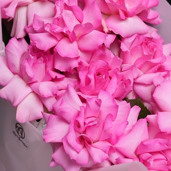 Букет из 11 ярко-розовых французских роз в корейской упаковке