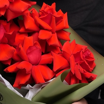 Букет из 5 алых французских роз в корейской упаковке