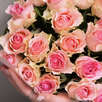 Букет из 25 светло-розовых роз 50 см (Кения) в корейской матовой упаковке
