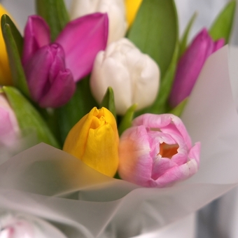 Шляпная коробка с тюльпанами микс