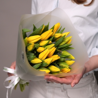 Букет из 25 желтых тюльпанов (Голландия) в корейской матовой упаковке