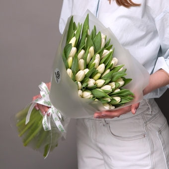Букет из 51 белого тюльпана (Голландия) в корейской матовой упаковке