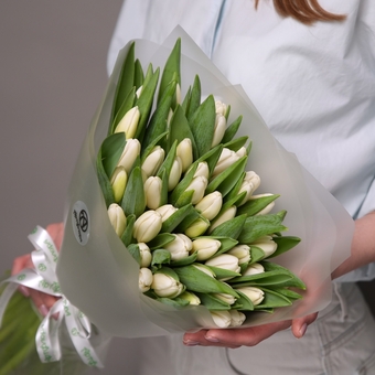 Букет из 51 белого тюльпана (Голландия) в корейской матовой упаковке