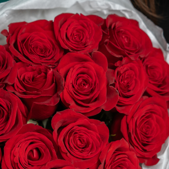 Букет из 15 красных роз 50 см (Эквадор)