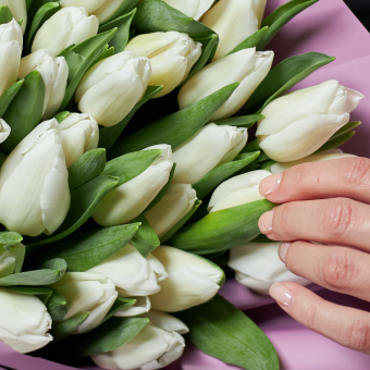 Букет из 35 белых тюльпанов (Голландия) в корейской упаковке