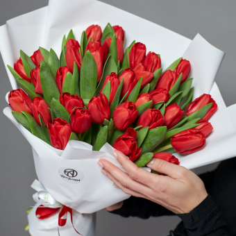 Букет из 51 красного тюльпана (Голландия) в корейской упаковке