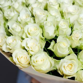 Букет из 101 белой розы 50 см (Кения)