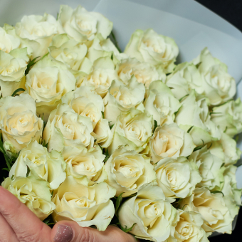 Букет из 35 белых роз Кения (35 см) в корейской упаковке