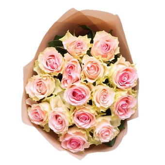 Букет из 15 светло-розовых роз Кения (50 см) в корейской упаковке