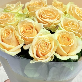 Flowwow Комплект (160) Кремовые розы РФ, букет размера S