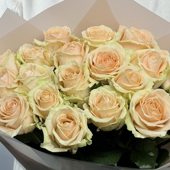 Flowwow Комплект (161) Кремовые розы РФ, букет размера M