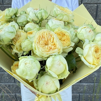 Flowwow Комплект (170) Букет из 5 жёлтых кустовых роз (S)