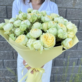 Flowwow Комплект (172) Букет из 15 жёлтых кустовых роз (L)