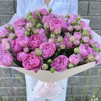 Flowwow Комплект (175) Букет из 15 розовых кустовых роз (L)