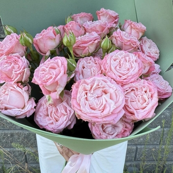 Flowwow Комплект (176) Букет из 5 светло-розовых кустовых роз (S)