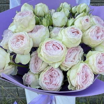 Flowwow Комплект (179) Букет из 5 нежно-розовых кустовых роз (S)