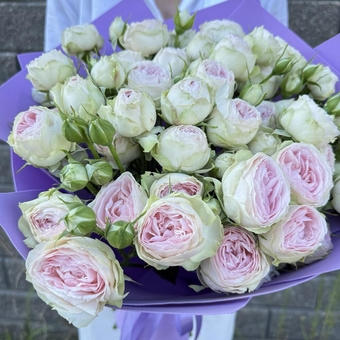 Flowwow Комплект (180) Букет из 9 нежно-розовых кустовых роз (M)