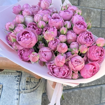 Flowwow Комплект (173) Букет из 7 розовых кустовых роз (S)