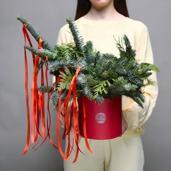 Зимняя шляпная коробка с красными лентами