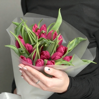 Букет из 15 малиновых тюльпанов (Голландия) в корейской матовой упаковке