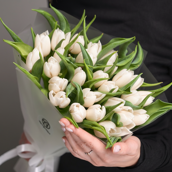 Букет из 25 белых тюльпанов (Голландия) в корейской матовой упаковке