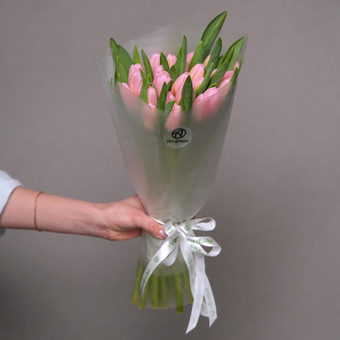 Букет из 25 розовых тюльпанов (Голландия) в корейской матовой упаковке