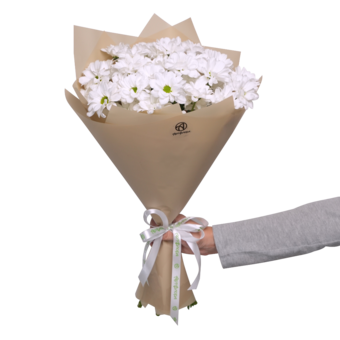 Букет из 5 белых кустовых хризантем ромашка (Бакарди) в корейской упаковке