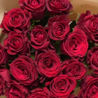 Букет из 19 красных роз Кения (50 см) в корейской упаковке