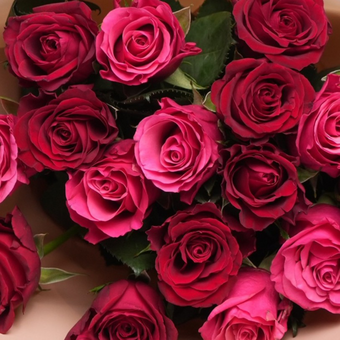 Букет из роз яркий микс Кения (50 см) в корейской упаковке