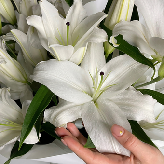 Букет из 9 белых лилий ориенталь (60 см)