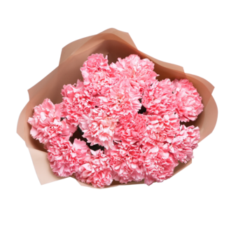 Букет из 15 розовых диантусов в корейской упаковке