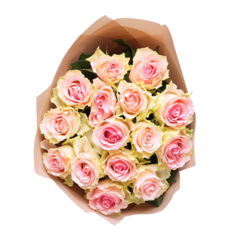 Букет из 15 светло-розовых роз Кения (50 см) в корейской упаковке