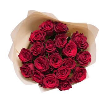 Букет из 19 красных роз Кения (50 см) в корейской упаковке