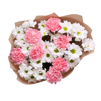 Букет из кустовых белых хризантем с розовым диантусом в корейской упаковке