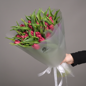 Букет из 35 малиновых тюльпанов (Голландия) в корейской матовой упаковке