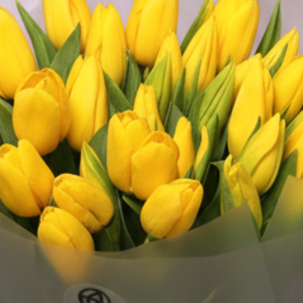 Букет из 35 желтых тюльпанов (Голландия) в корейской матовой упаковке