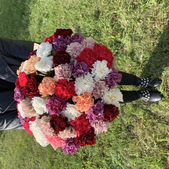 Букет из 51 гвоздики  (диантусов) микс