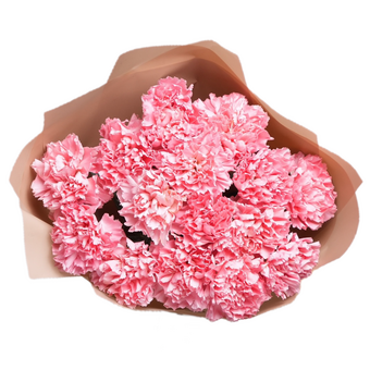Букет из 15 розовых диантусов в корейской упаковке