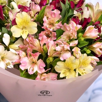 Букет из 9 альстромерий микс в корейской светлой упаковке