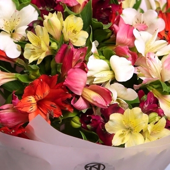 Букет из 11 альстромерий микс в корейской светлой упаковке