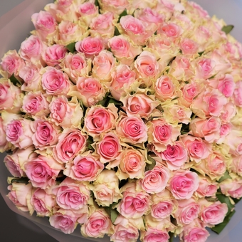 Букет из 101 светло-розовой розы 50 см (Кения) в корейской матовой упаковке