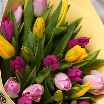 Букет из 25 тюльпанов микс яркий (Голландия) в фоамиране