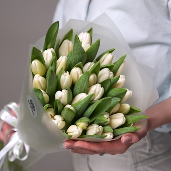 Букет из 35 белых тюльпанов (Голландия) в корейской матовой упаковке