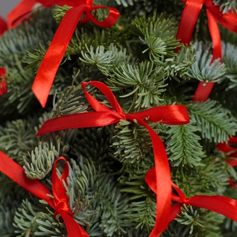 Новогодняя елочка - М (40 см) с красными бантами