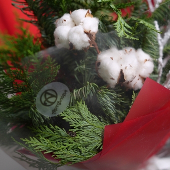 Зимний букет хвойный микс с хаклберри в красной упаковке