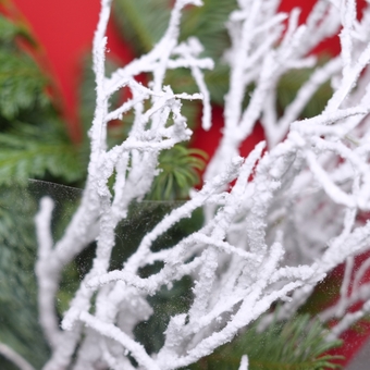 Зимний букет хвойный микс с хаклберри в красной упаковке