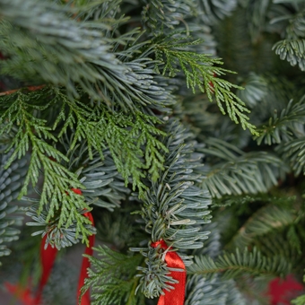 Зимняя шляпная коробка с красными лентами