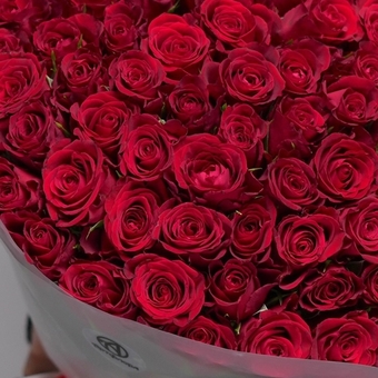 Букет из 101 красной розы 50 см (Кения) в корейской матовой упаковке