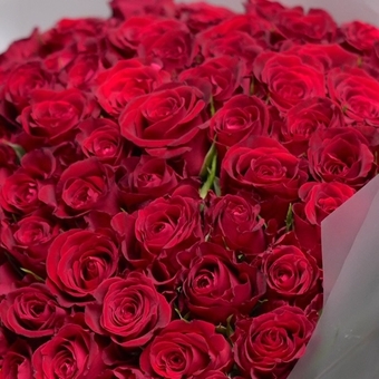 Букет из 101 красной розы 50 см (Кения) в корейской матовой упаковке