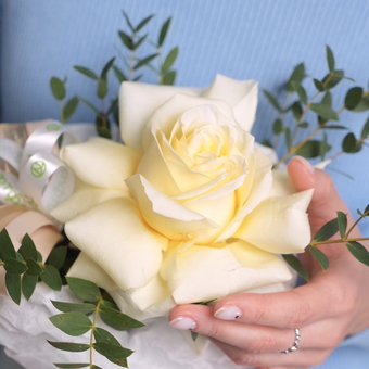 Композиция с кремовыми французскими розами - S